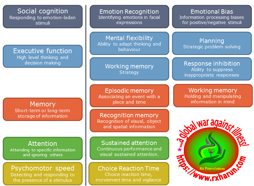 What Are The Signs Of Vitamin B Complex Deficiency Rx Harun