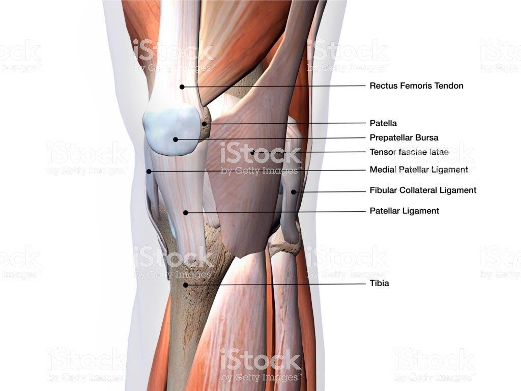 What Are The Best Treatment of Kneecap Bursitis